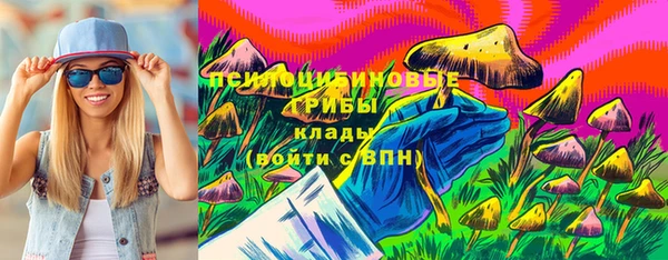 трава Елизово
