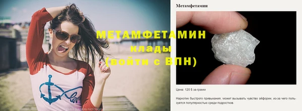 трава Елизово