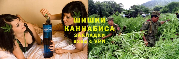 бошки Ельня